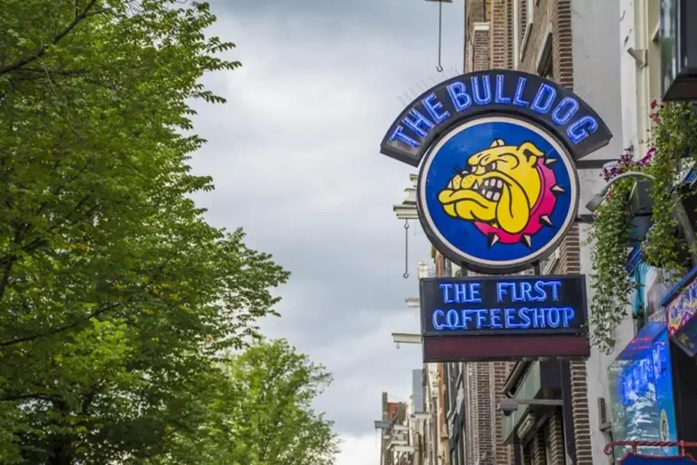 The Bullgod The First