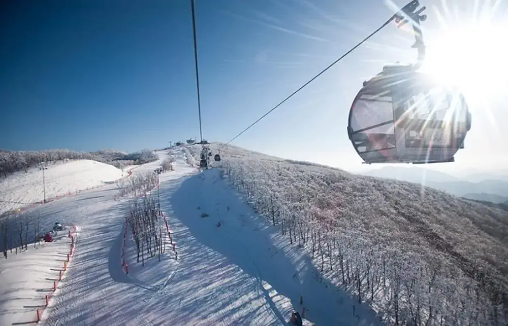韓國前三大滑雪場 HIGH 1滑雪場