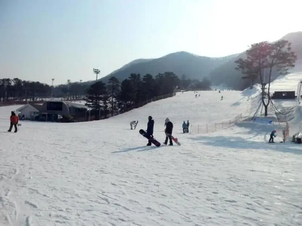 Jisan Forest Resort