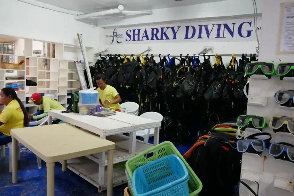 【島嶼必備海上行程】美人魚拍照體驗＋游泳課程