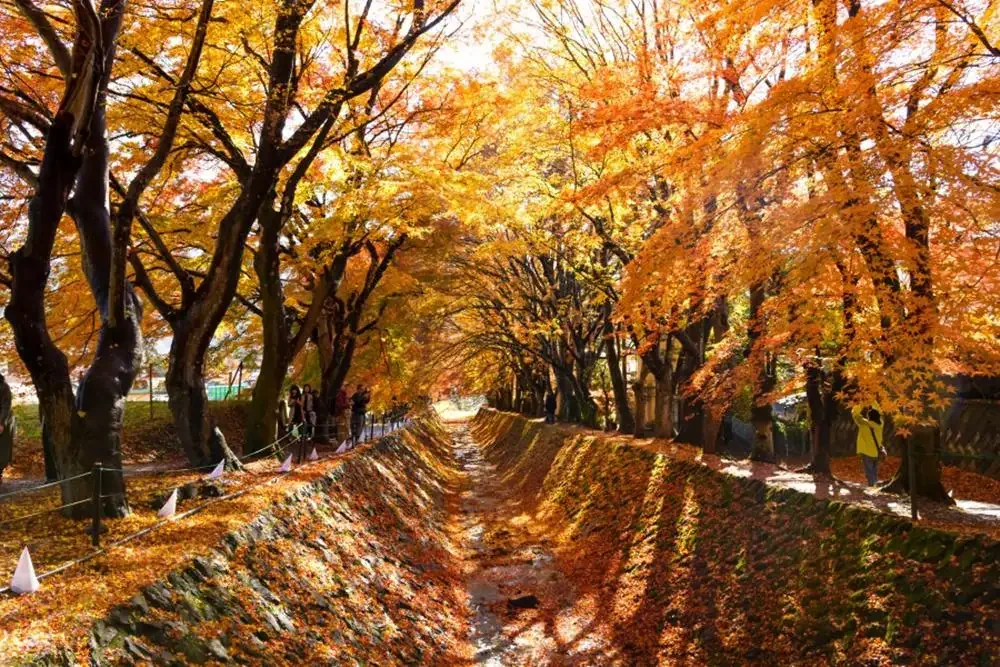 河口湖