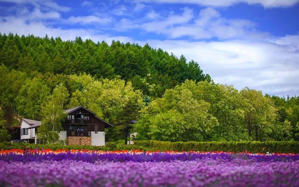北海道