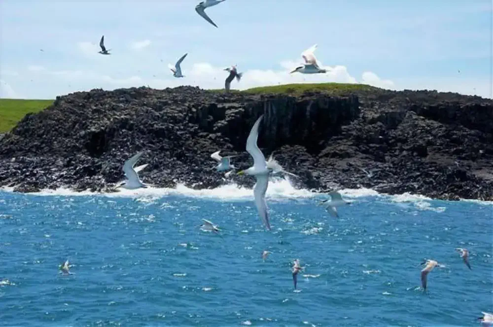 澎湖東海秘境小島