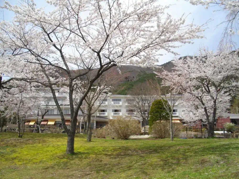 富士山-西湖-住宿-足和田-外觀