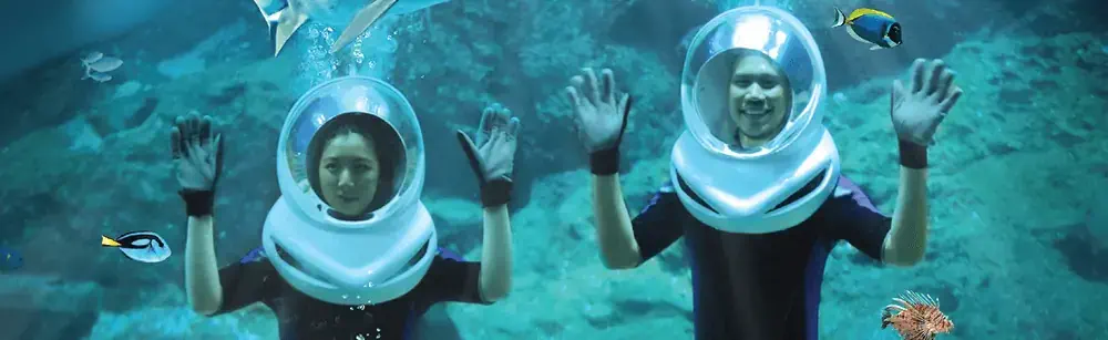 泰國-2020-旅遊-曼谷暹羅海洋世界