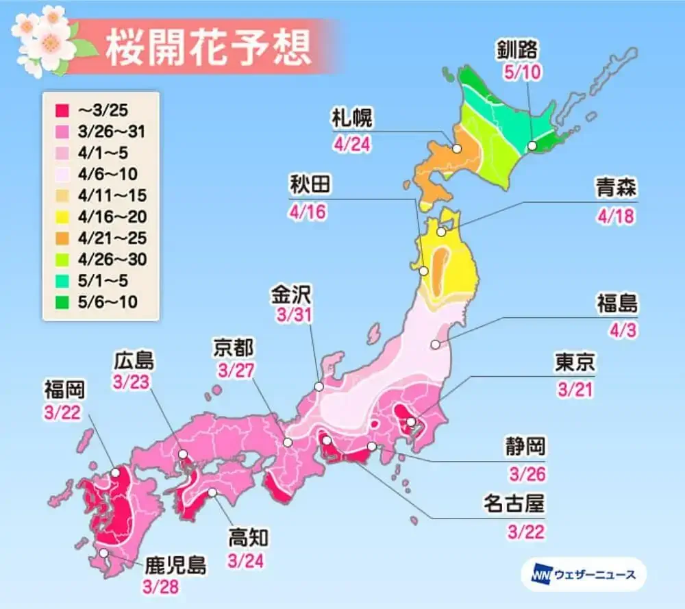 2020-東京櫻花-開花日期