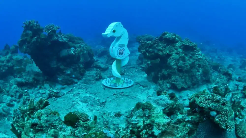 台灣潛水地點-綠島海馬海底郵筒