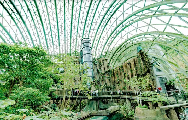 台北週末景點-動物園穿山甲館