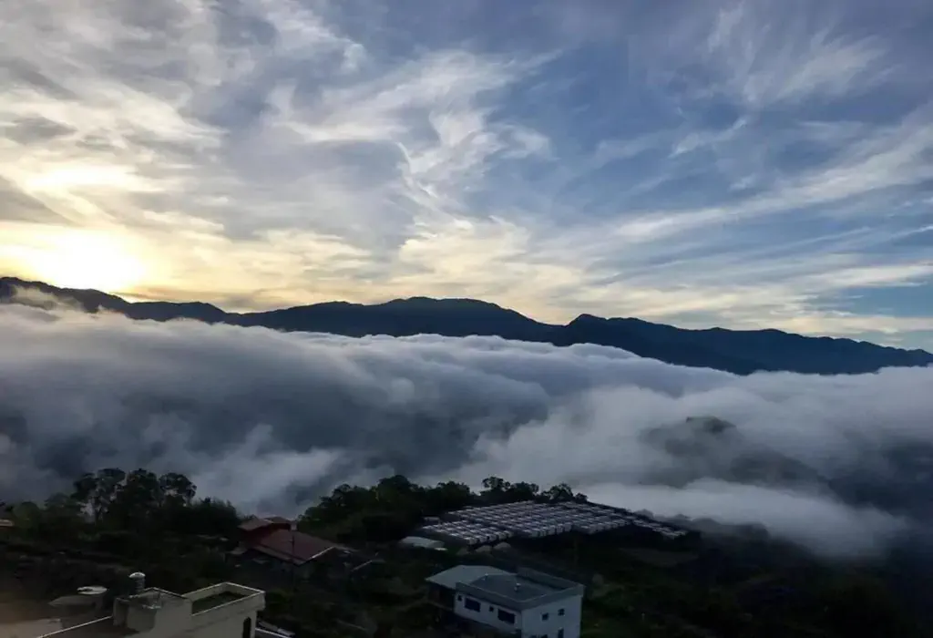 阿里山茶香花園民宿