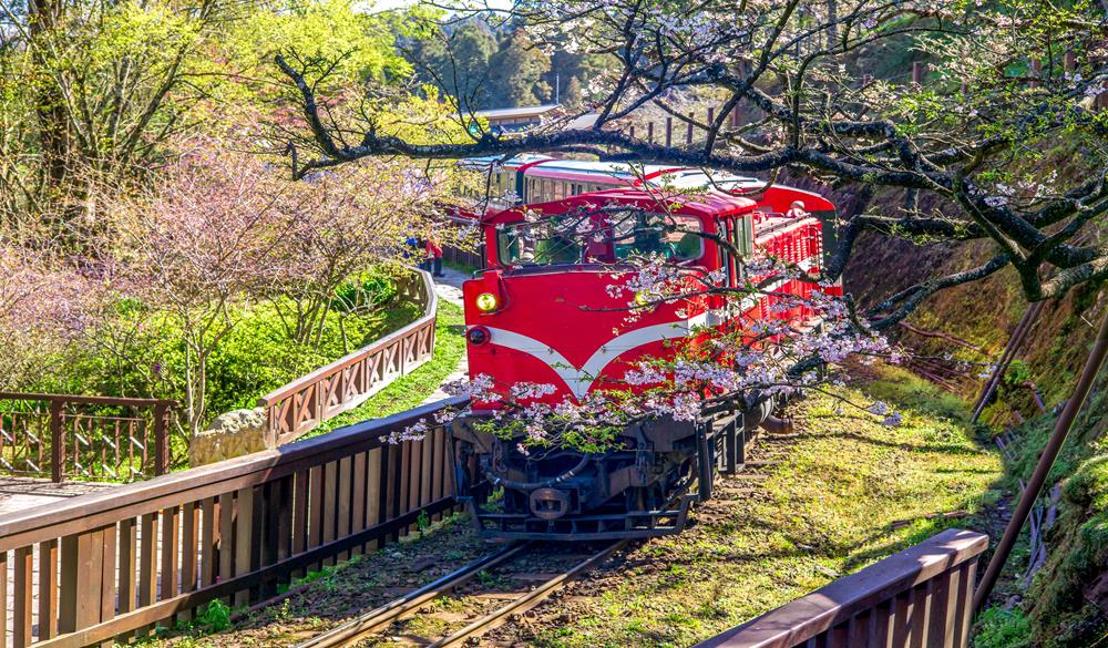 阿里山小火車