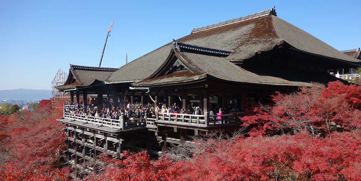 日本 清水寺 賞楓