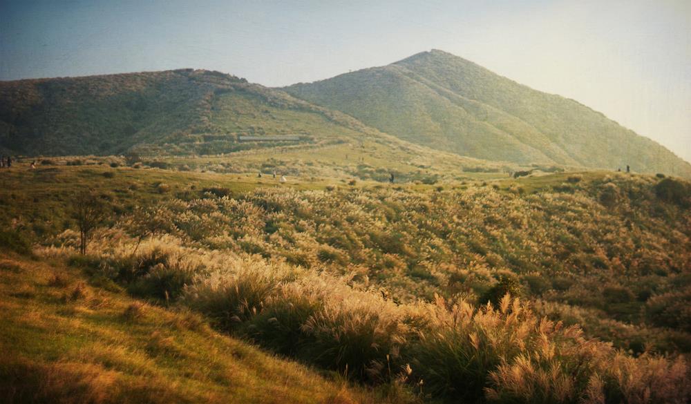 beautiful moment at Yangmingshan National Park a collection of peaks in Taiwan,located to the northeast of Taipei,selective focus,abstract texture,vintage textured photo (beautiful moment at Yangmingshan National Park a collection of peaks in Taiwan,l