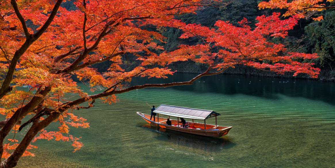 京都近郊景點