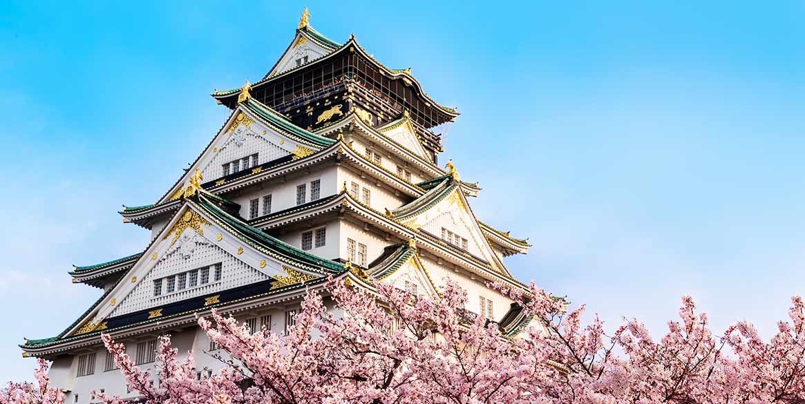 Osaka-cherry-blossom