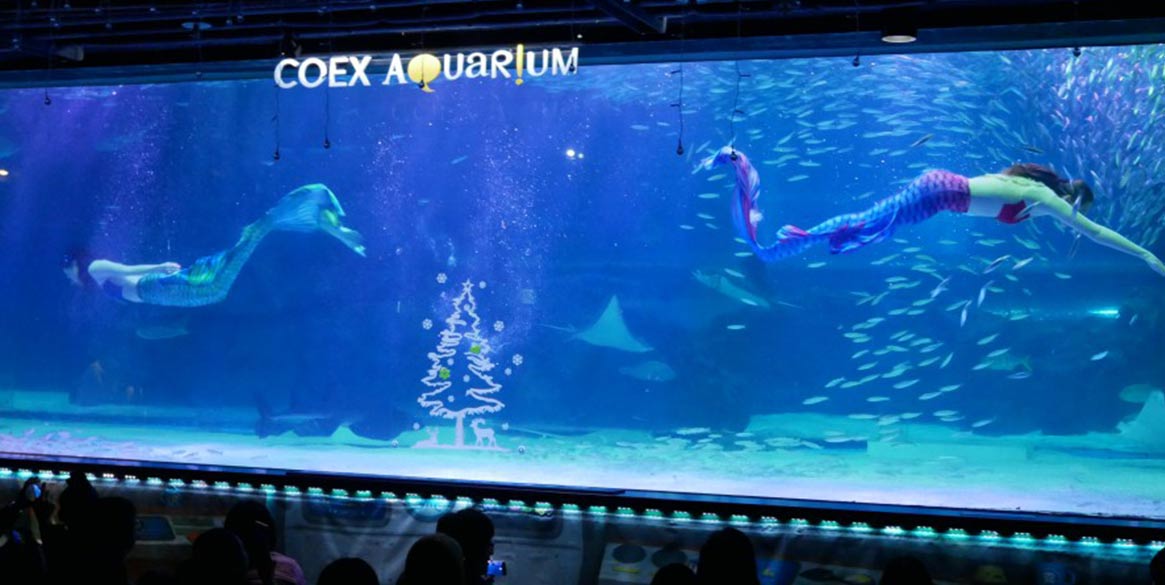 韓國首爾COEX水族館