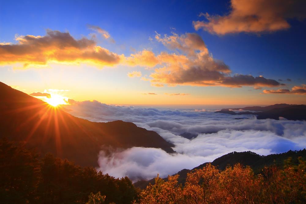 Amazing sunrise and sea of cloud with mountains and tree