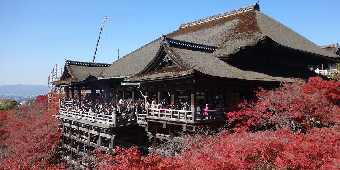 京都賞楓住宿