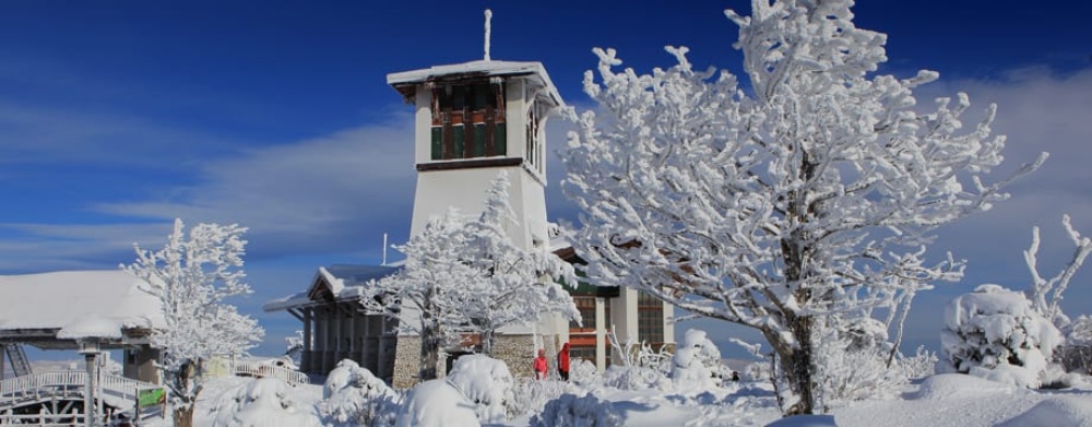 韓國-龍平滑雪度假村-滑雪場