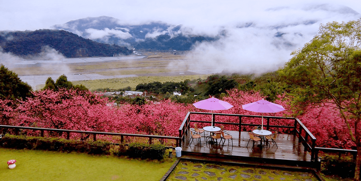 宜蘭-大同-賞櫻-住宿