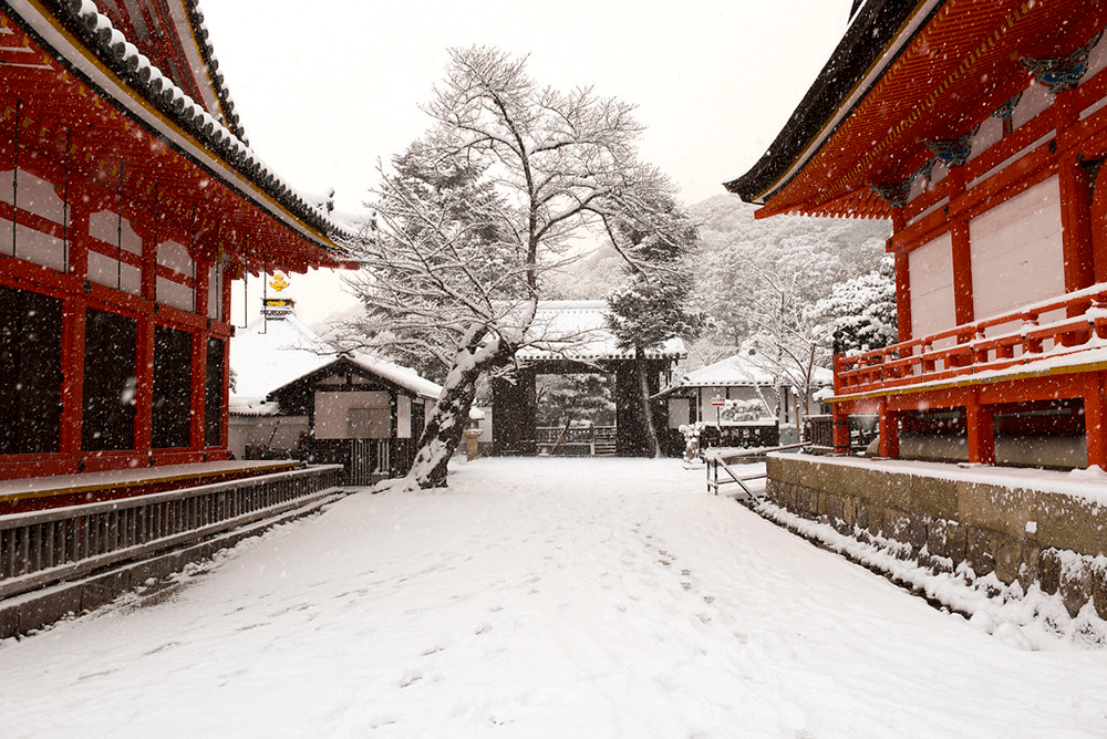 京都-賞雪-清水寺