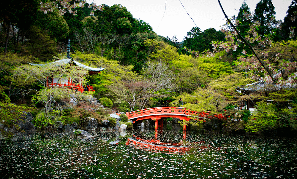 京都-醍醐寺