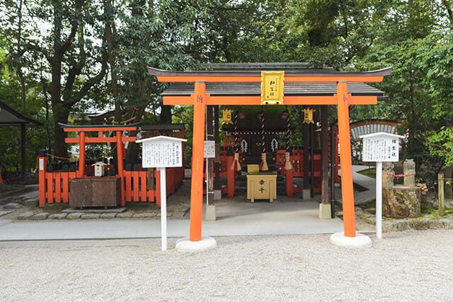 京都-top10-神社-下鴨神社