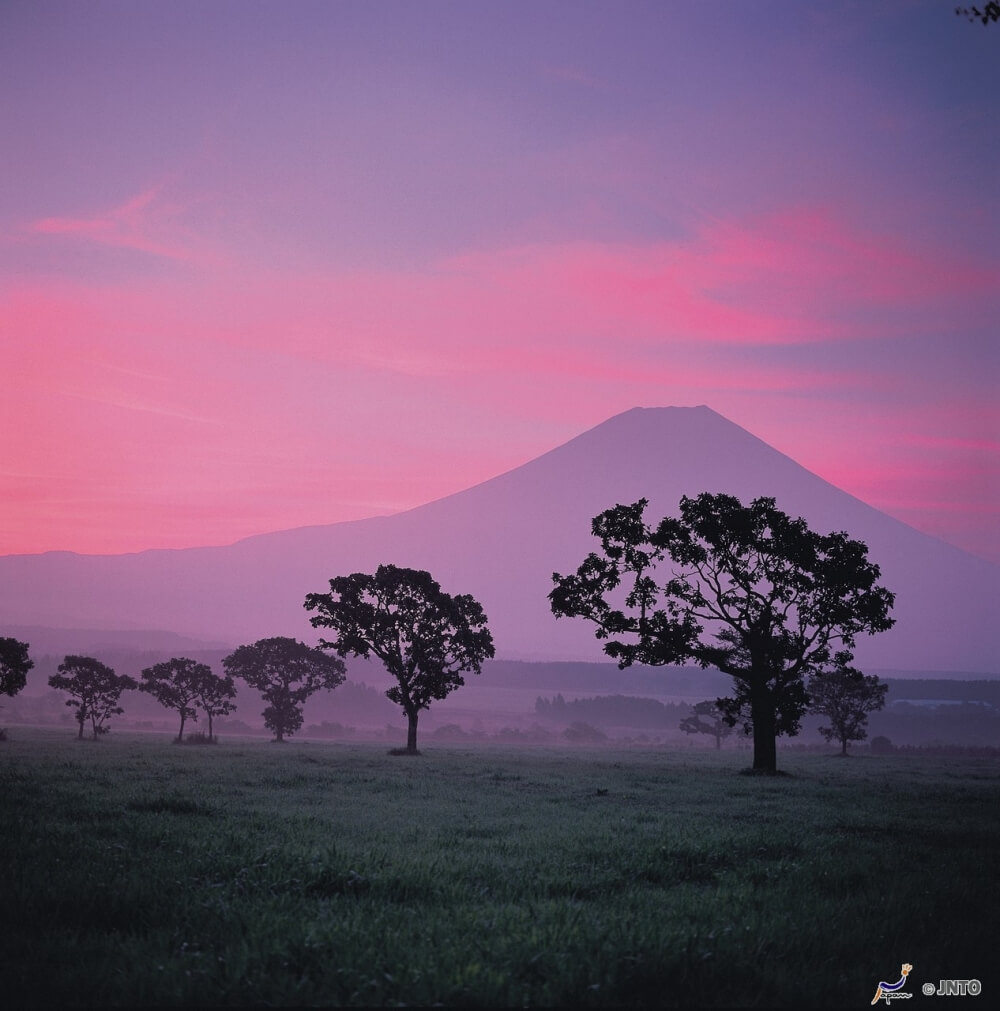 富士山-朝霧高原-滑翔傘