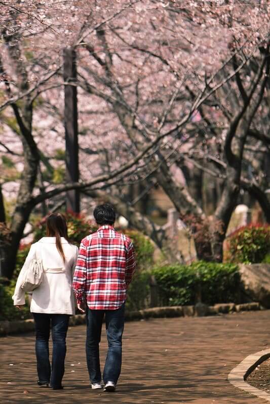 東京賞櫻-飛鳥山公園