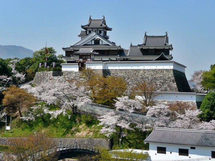 京都賞櫻景點-福知山城