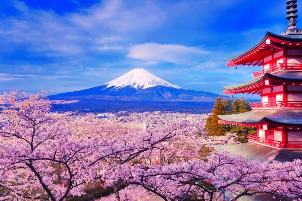 富士山-景點-新倉山淺間神社