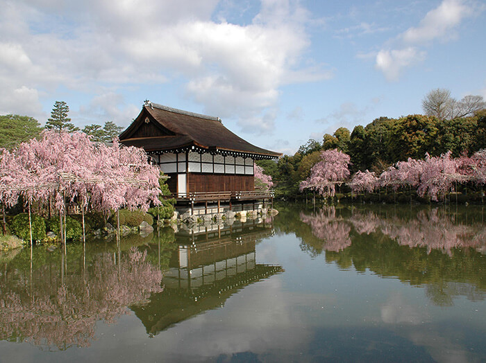 京都賞櫻景點-平安神宮