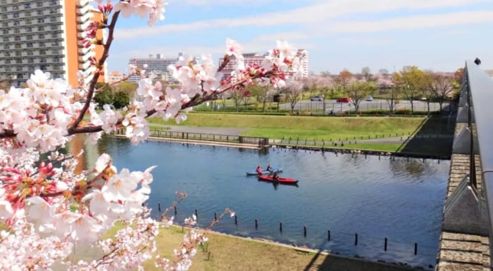 東京櫻花-隅田公園