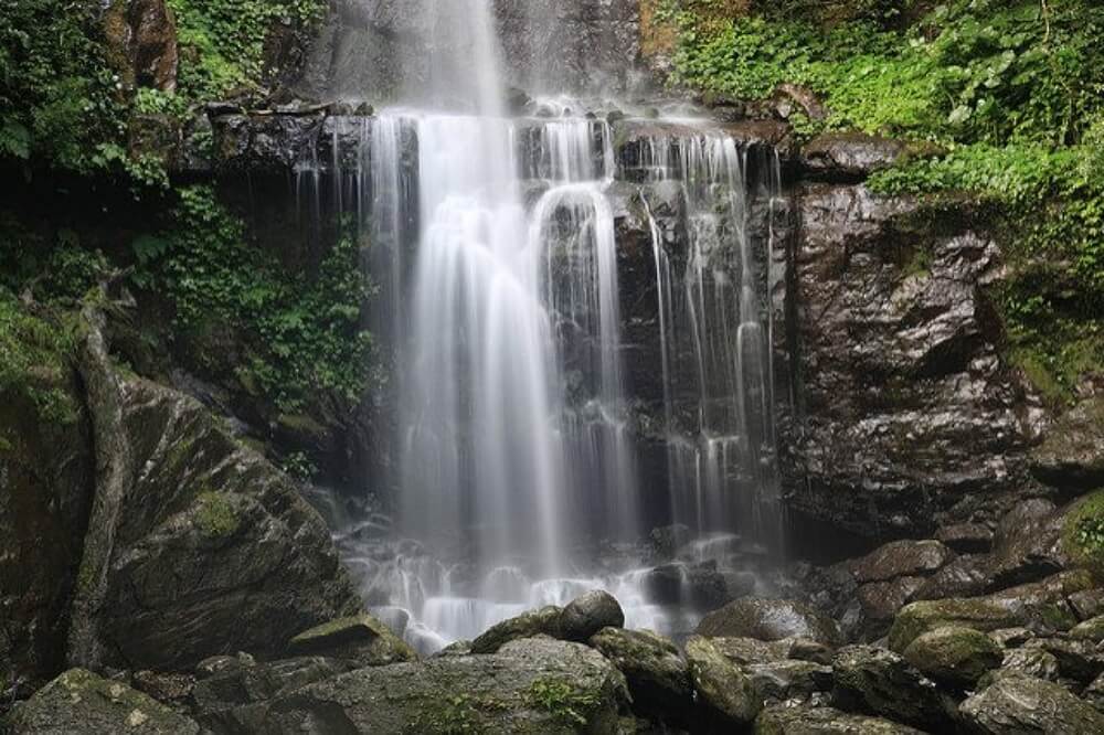 台北登山步道-三峽雲森瀑布步道