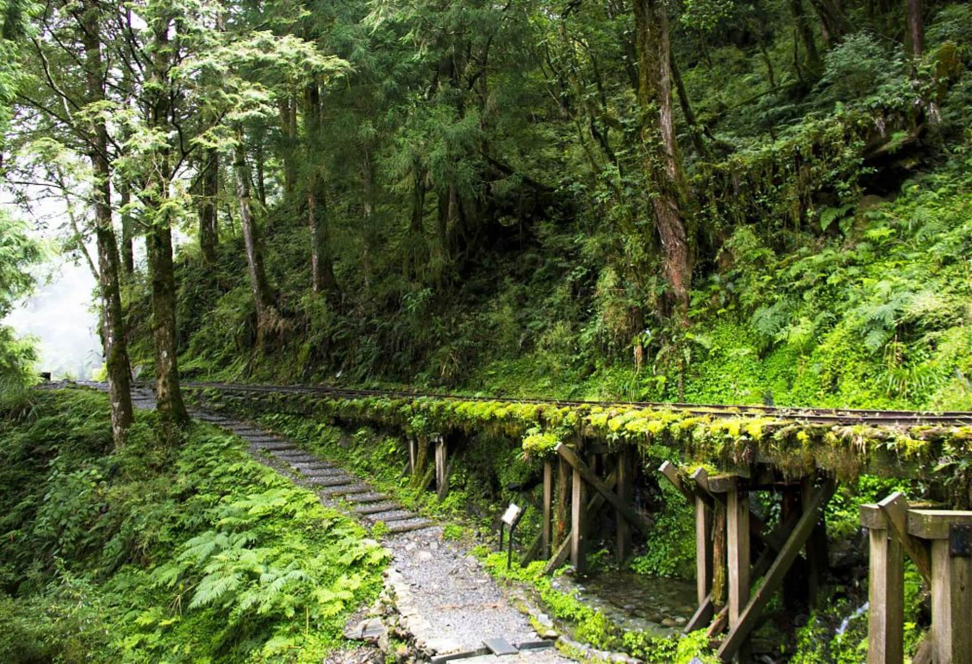 宜蘭太平山景點