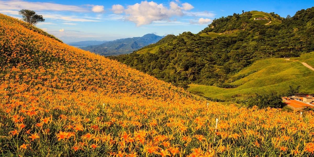 金針花民宿 花蓮富里六十石山金針花周邊5大特色民宿 部落格