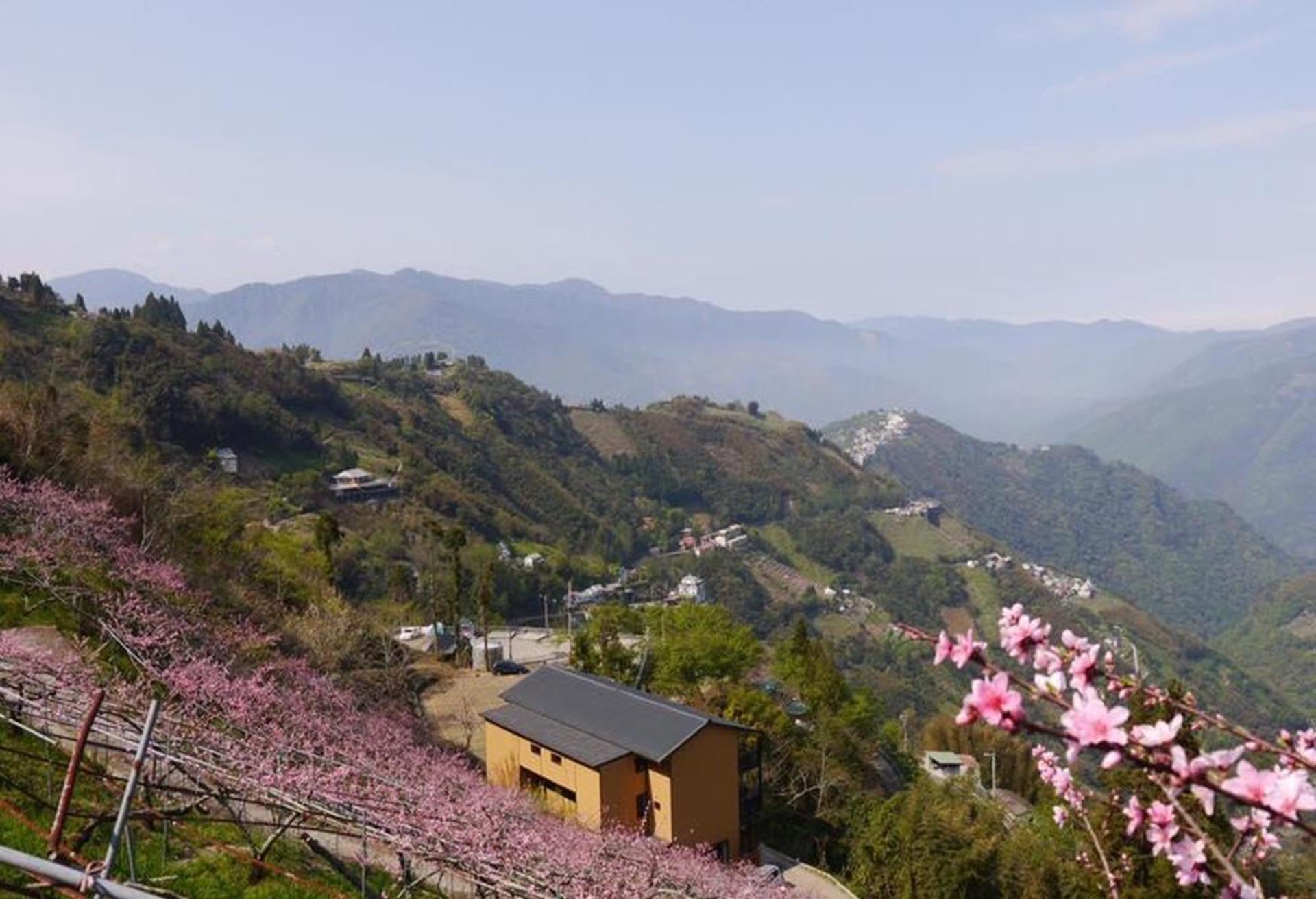 雲山仙境民宿-拉拉山,司馬庫斯民宿,司馬庫斯 民宿,桃園拉拉山民宿