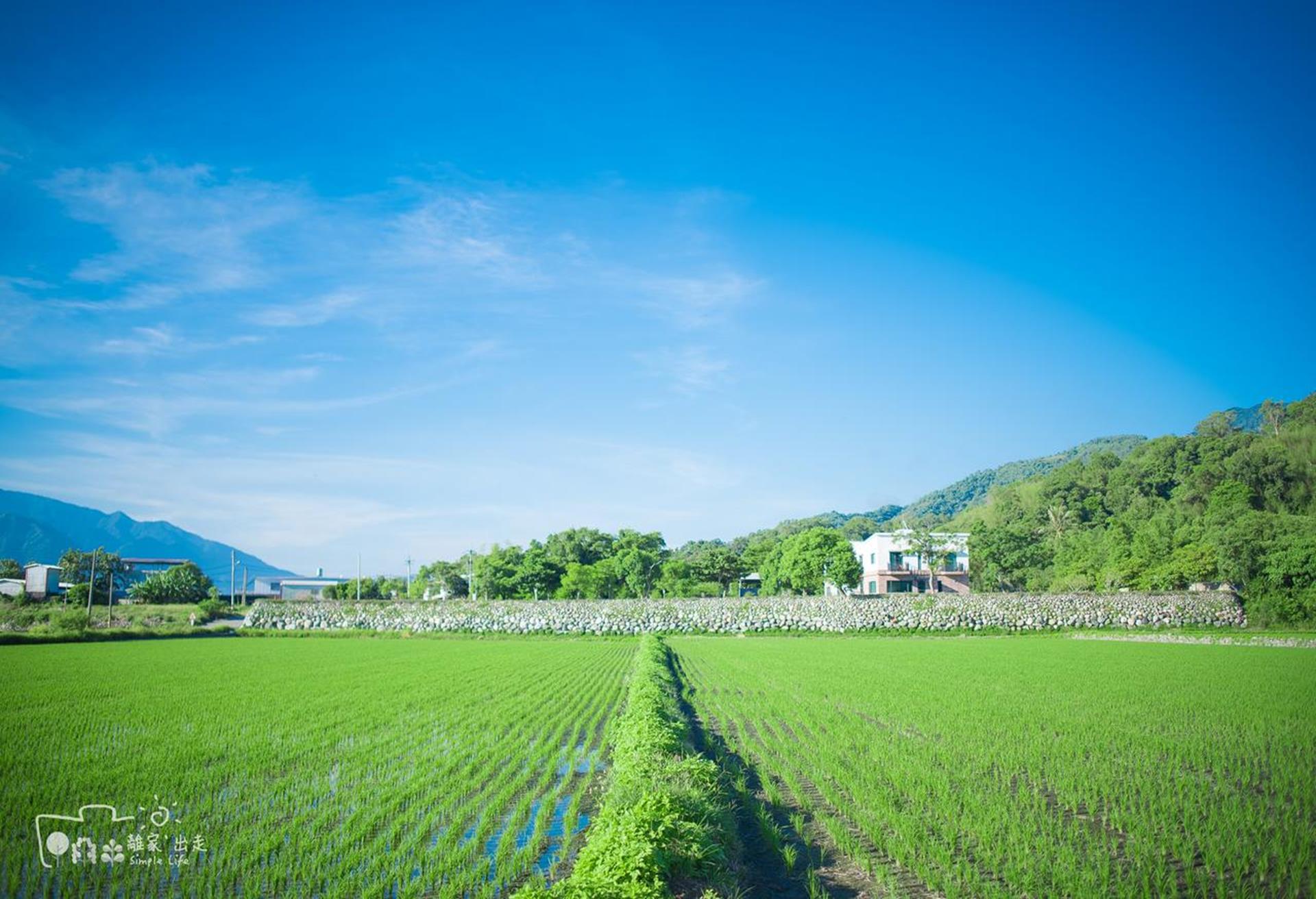 六十石山金針花季住宿推薦,六十石山 住宿, 六十石山民宿,花蓮富里旅館