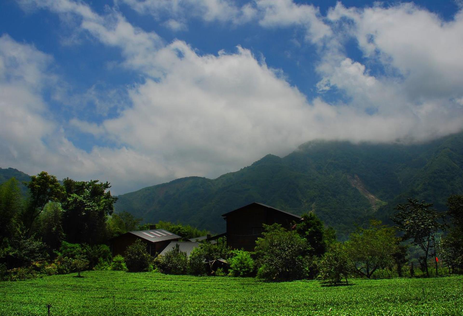 阿里山住宿 慢步雲端民宿