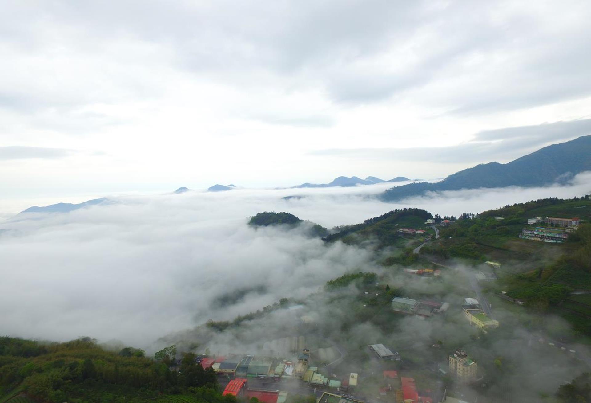 湘庭觀景民宿,阿里山賞楓住宿推薦,阿里山楓葉2021,阿里山 楓葉 住宿推薦,阿里山賞楓民宿,阿里山民宿推薦,阿里山 訂房