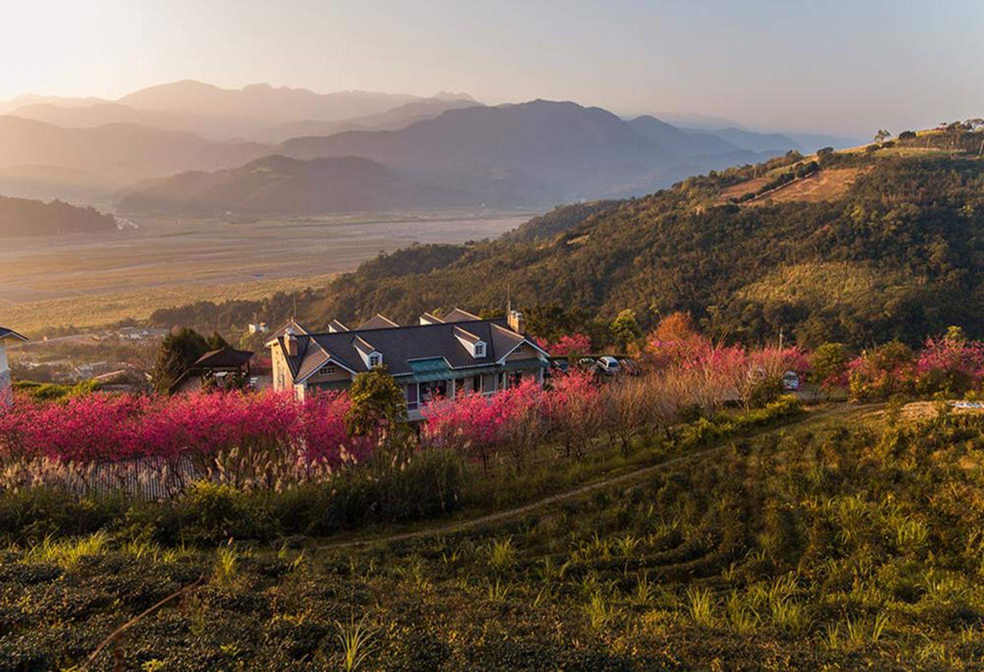 雅盧景觀渡假別墅,賞櫻泡湯住宿,賞櫻溫泉, 賞櫻溫泉泡湯, 賞櫻 溫泉飯店, 賞櫻溫泉旅館