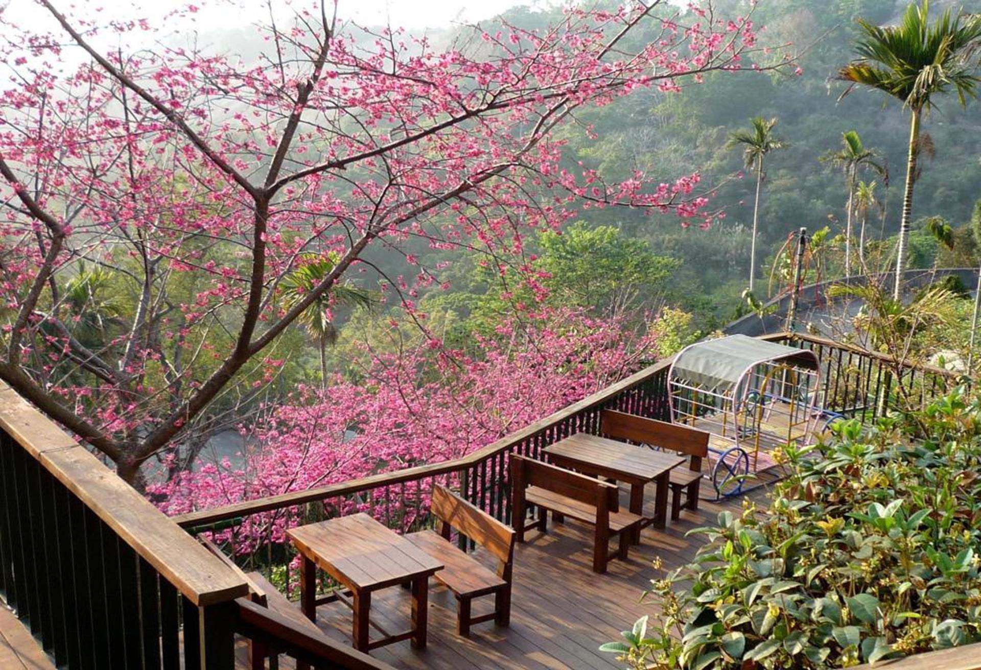 流星花園民宿,台中新社花海周邊住宿推薦,台中新社花海飯店,台中新社花海民宿