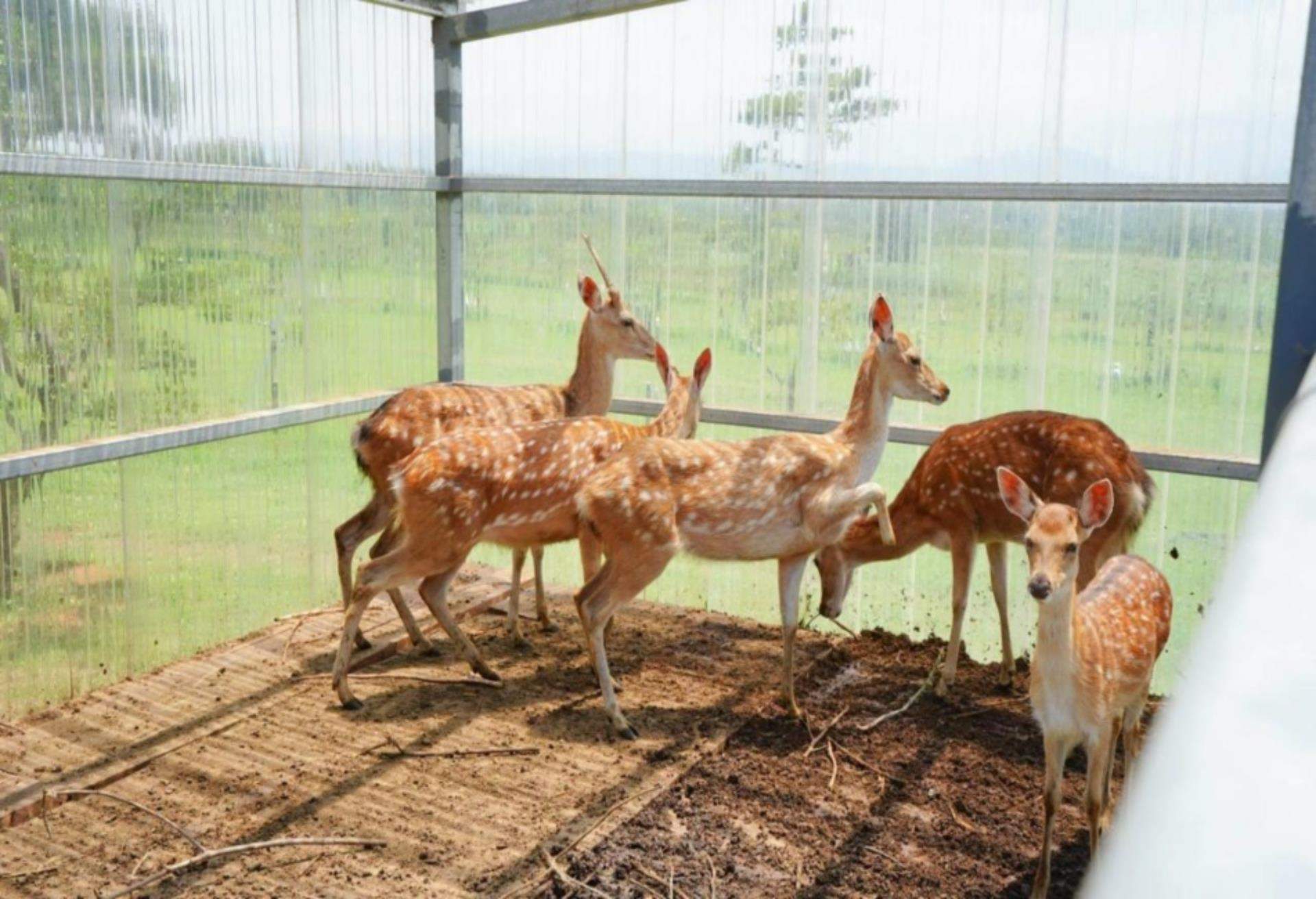 嵐翎白砂渡假莊園,台灣親子飯店,台灣親子飯店推薦,台灣親子飯店 兒童俱樂部,台灣親子旅館,台灣親子渡假村