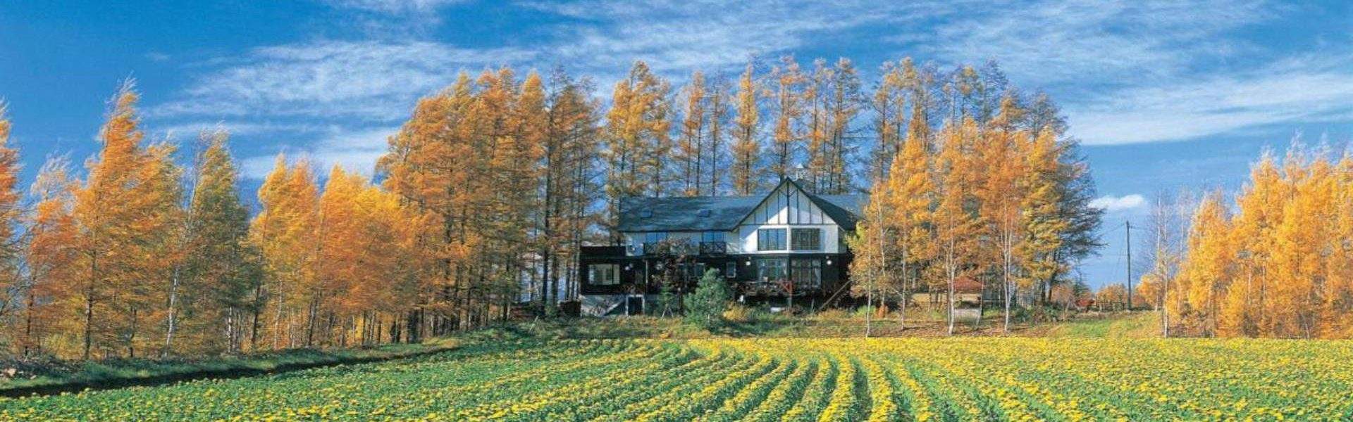 【美瑛住宿推薦】近美瑛車站！Top 5 北海道美瑛住宿、公寓民宿