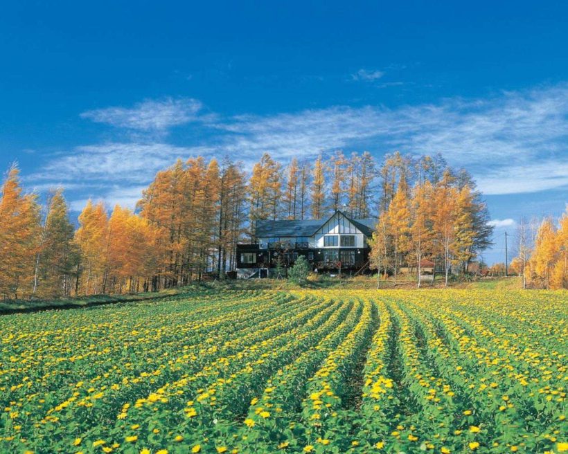 【美瑛住宿推薦】近美瑛車站！Top 5 北海道美瑛住宿、公寓民宿