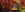 preload