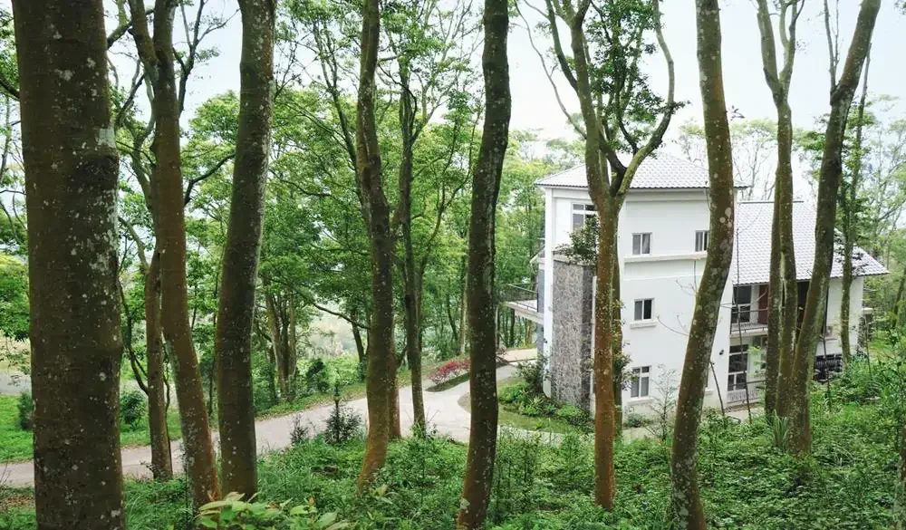 三義綠波浪