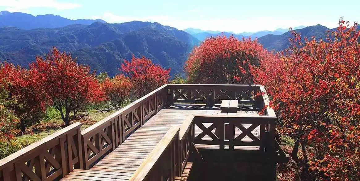 阿里山住宿