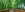 preload