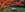 preload