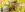 preload